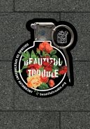 Обложка книги Beautiful Trouble. Пособие по креативному активизму