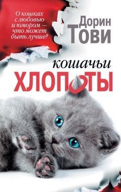 Обложка книги Кошачьи хлопоты (сборник)