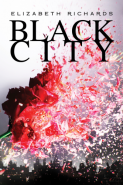 Обложка книги Блэк Сити