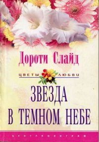 Звезда в темном небе. Cкачать книгу бесплатно