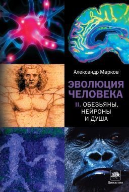 Обложка книги Обезьяны, нейроны и душа